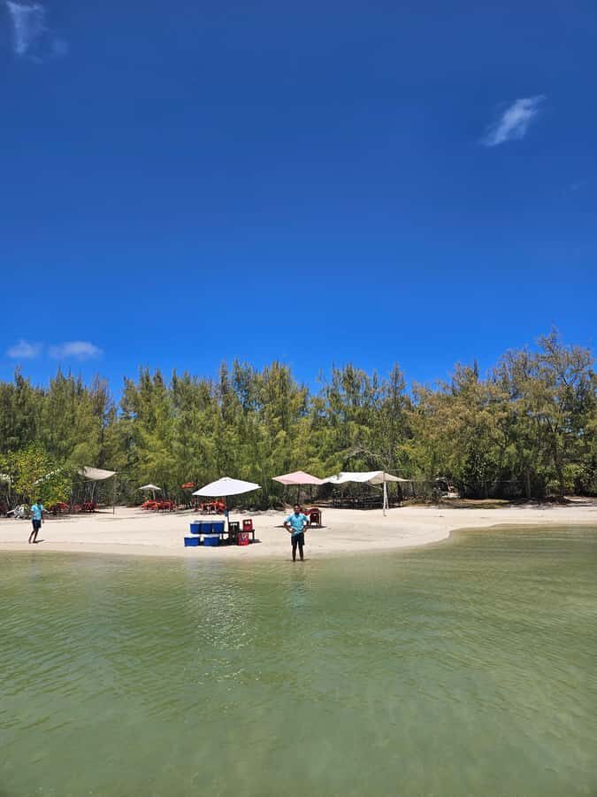 FULL-DAY CATASPEED - East Lagoon cruise including transfer. - Grand River South East Waterfall: monkeys and fruit bats in the same hour