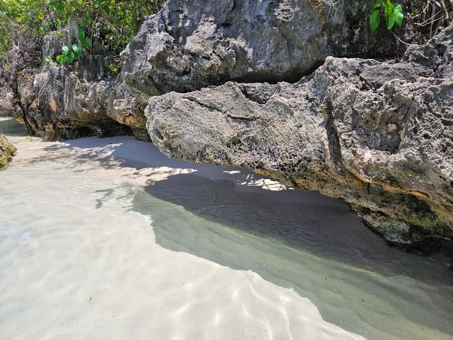 FULL-DAY CATASPEED - East Lagoon cruise including transfer. - Ile aux Cerfs Island: where time can feel long, especially if you want snorkeling