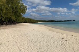 Full-Day Dolphin Watching Cruise in Mauritius - Crystal Rock snorkelling: equipment included, reef time included