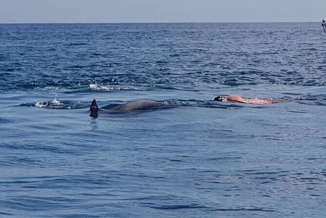 Full-Day Dolphin Watching Cruise in Mauritius - Group size, weather, and the small details that matter