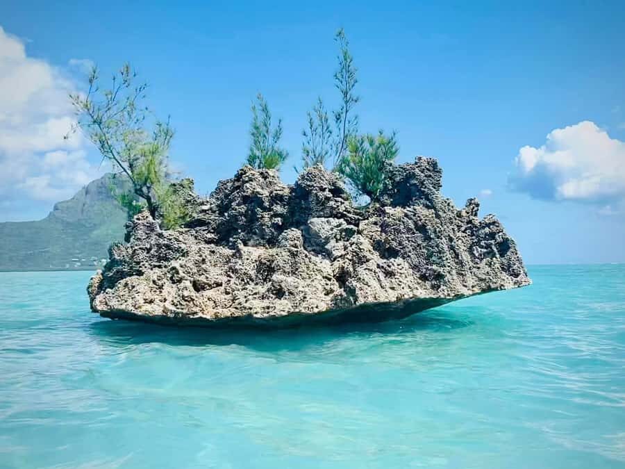 Full Day Dolphins Watching Ile aux Benitiers & Crystal Rock - What this dolphin-and-snorkel day is really like