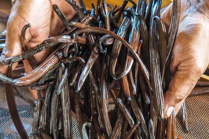 Full Day Guided Tea Route Mauritius: Including Lunch - Tea and rum tasting: how to enjoy what you’re drinking