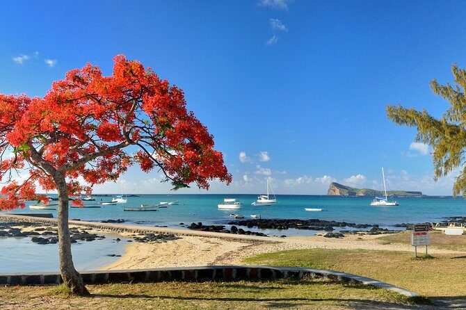Full Day North Private Guided Tour Mauritius: including lunch - Port Louis in one hour: markets, Fort Adelaide, and Place d’Armes
