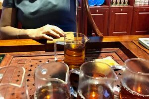 Full Day-North Tour (Drive Less,More Visits) - SSR Botanic Garden in Pamplemousses: 33 hectares with a conservation mission