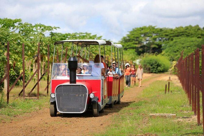 Full-Day North Tour of Mauritius, ALL INCLUSIVE Day Trip, Private SUV Car, Guide - Maheswarnath Mandir and Mont Choisy: Religion and Coast in Short Bursts