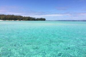 Full-Day Northern Catamaran Cruise: Coin de Mire and Ile Plate Island - Coin de Mire snorkeling: what the calm lagoon time really means