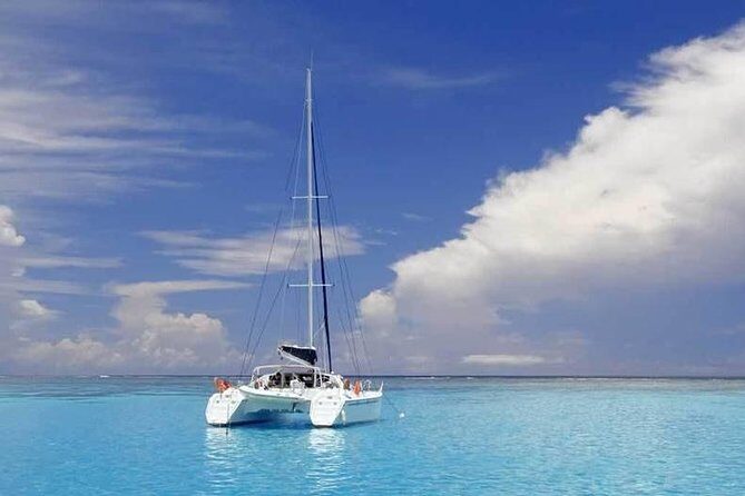 Full-Day Northern Catamaran Cruise: Coin de Mire and Ile Plate Island - Price and value: is $111.54 for this catamaran day fair?