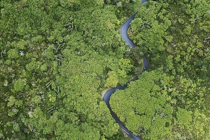 Full Day Private car only Guided SOUTH WEST of Mauritius - Vallée d’Advenature Park: nature play with an extra ticket