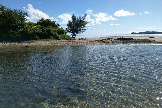 Full-Day Private Hiking le Morne Mountain & Seafood Lunch at Islet Fourneau - The One Big Caution From Real-World Experiences