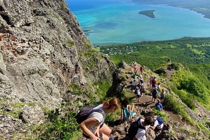 Full-Day Private Hiking le Morne Mountain & Seafood Lunch at Islet Fourneau - Le Morne in the Woods: Paille en Queue and the Heat Factor