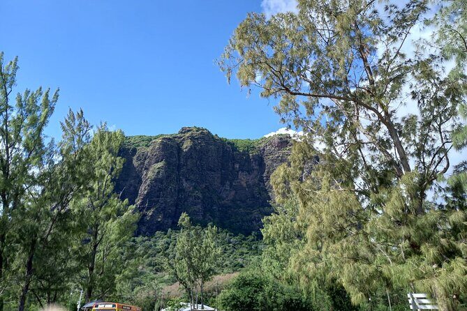 Full Day Private Tour in South of Mauritius - Black River Gorges National Park: forest views and nature calm