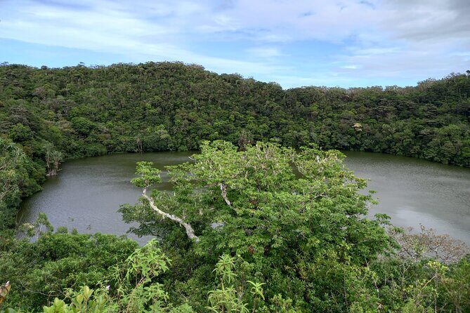 Full Day Private Tour in South of Mauritius - Grand Bassin: the sacred lake and temple atmosphere