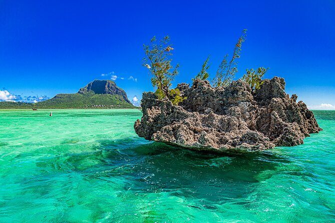 Full day Shared Speedboat Tour - South West Lagoon Dolphin Swim - Price and value at about $106: what you’re paying for