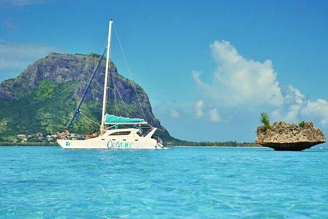 Full day Shared Speedboat Tour - South West Lagoon Dolphin Swim - Service quality: the one risk worth taking seriously