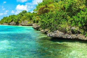 Full Day Tour 5 Island to Ile Aux Cerfs Incl. Lunch and Transfer - Hotel pickup and dock timing: the first make-or-break detail