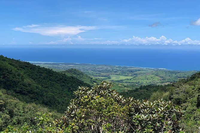 Full-Day Tour of South West Mauritius - Lunch on the route: where the day fuels up