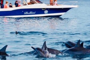 Fully Day Tour: Dolphin Encounters, Crystal Rock at Benitiers Island - Crystal Rock snorkeling near Le Morne Mountain views