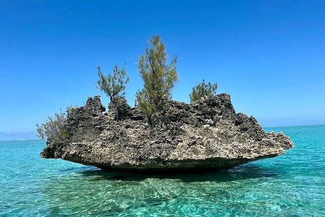 Fully Day Tour: Dolphin Encounters, Crystal Rock at Benitiers Island - Benitier Islet: the 3-course BBQ lunch with unlimited drinks