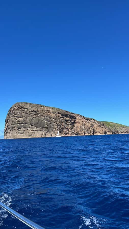 Grand Baie: Northern Isles Catamaran Cruise with BBQ - Grand Baie departure: meeting point and the 08:00 mindset
