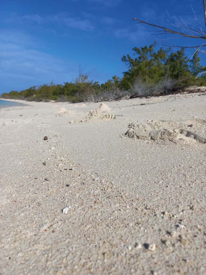 Grand Baie: Three Islands Private Boat Trip and Beach BBQ - Who should book this, and who might skip it