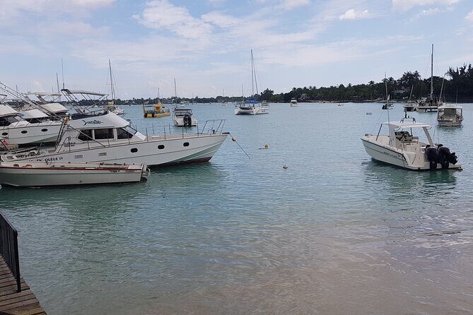 Grand Bay Food Tour - How the guide turns bites into understanding