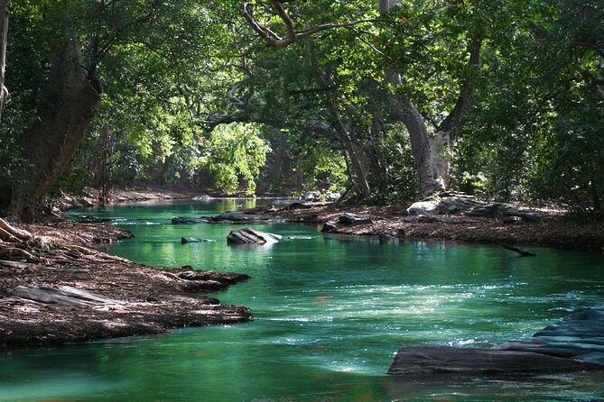 Hiking in the Black River Gorges National Parc - Native Forest - Cooling off in the Black River: not a gimmick stop