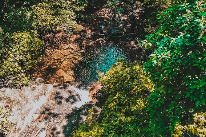 Hiking in the Black River Gorges National Parc - Native Forest - Fitness level and terrain reality check (steep means steep)