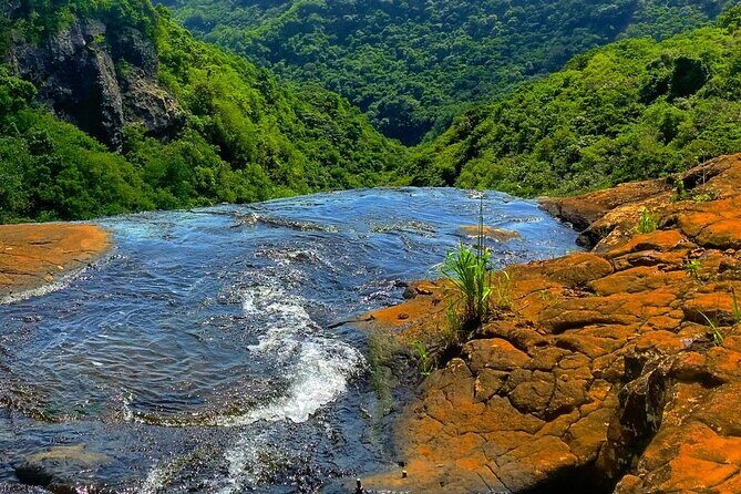 Hiking Trip Full-Day: The Magnificent 7 Waterfalls Sept Cascades including Lunch - The guide makes it better: plants, wildlife, and pace
