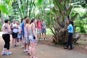Historical Guided Day Tour : City - Sugar World - Botanical Garden - Citadel Fort Adelaide: Port Louis From 100 Metres Up