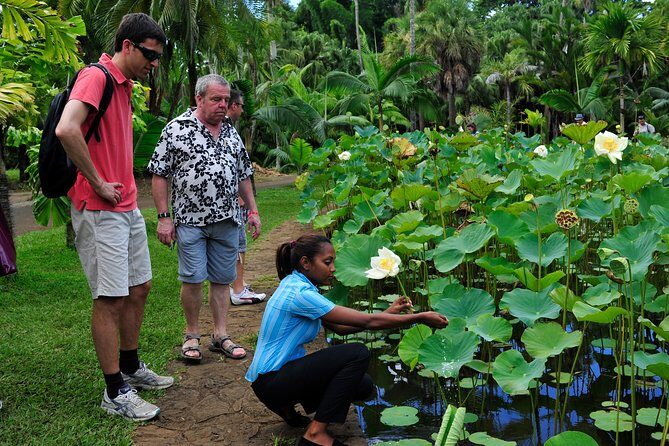 Historical Private Guided Tour, City-SugarWorld-Botanical Garden - Min.2 persons - Price and value: why this feels like a bundle, not a random day