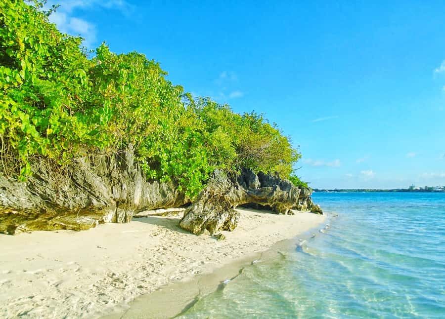 Ile aux Aigrettes Reserve & Blue Bay Glass Bottom Boat - Key highlights you should plan around