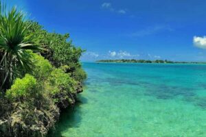 Ile aux Aigrettes Reserve & Blue Bay Glass Bottom Boat - Getting to Pointe Jérôme: private pickup, shared start