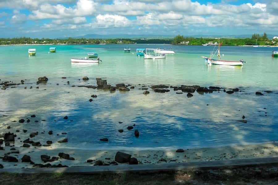 Ile aux Aigrettes Reserve & Blue Bay Glass Bottom Boat - The Ile aux Aigrettes guided hike: what you’re really there to do