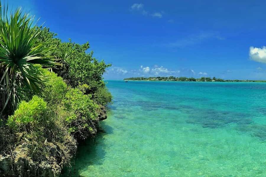 Ile aux Aigrettes Reserve & Blue Bay Glass Bottom Boat - Getting to Pointe Jérôme: private pickup, shared start
