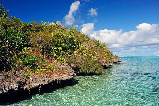 Ile aux Aigrettes - Tea Route - Gris Gris Private Guided Tour (Min. 2 persons) - Key highlights that make the day work