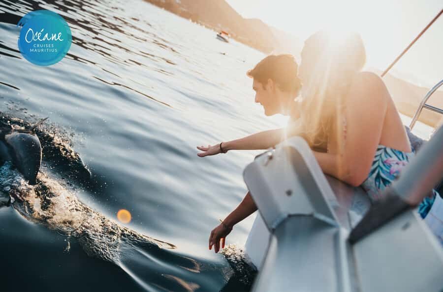 Ile Aux Bénitiers : Private Catamaran Cruise & Gourmet Lunch - Key highlights you’ll actually care about