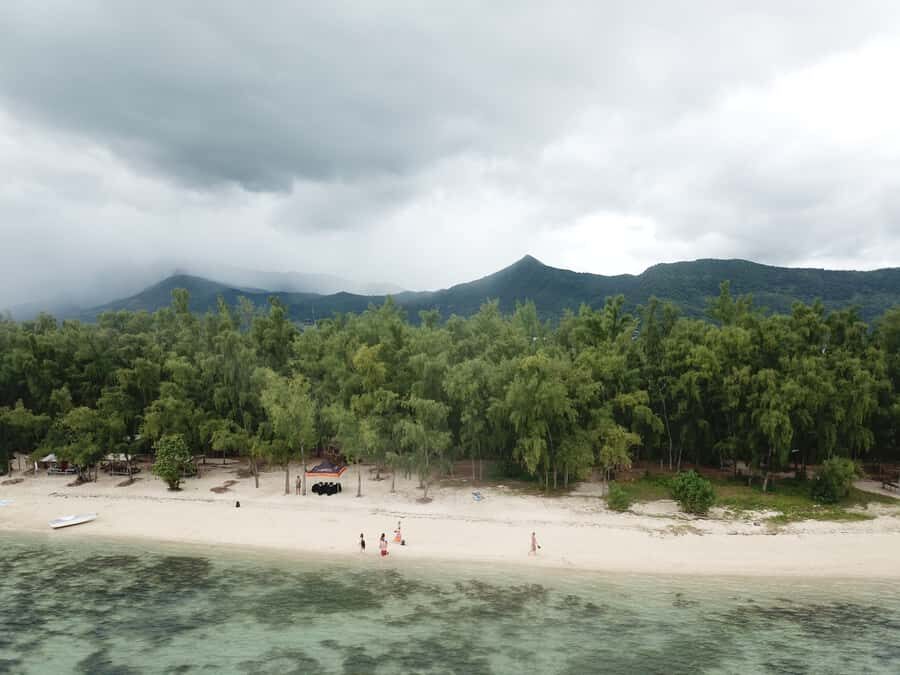 Île aux Bénitiers: Snorkeling w/Dolphins Boat Tour & Lunch - Who should book this dolphin + Crystal Rock combo?