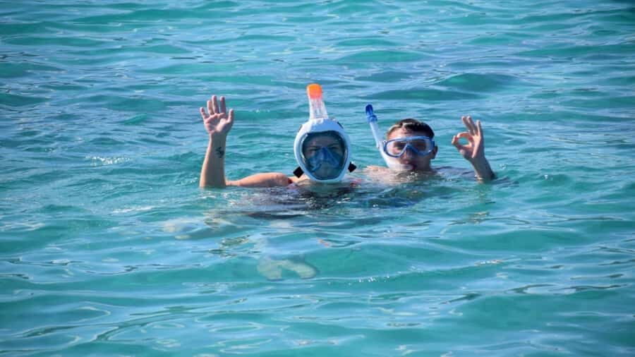 Île aux Bénitiers Snorkeling with Dolphins + Seafood Lunch - Key Highlights at a Glance