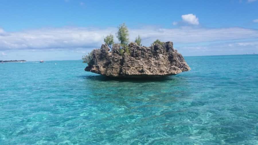 Île aux Bénitiers Snorkeling with Dolphins + Seafood Lunch - Value, Small-Group Size, and the Language Gap