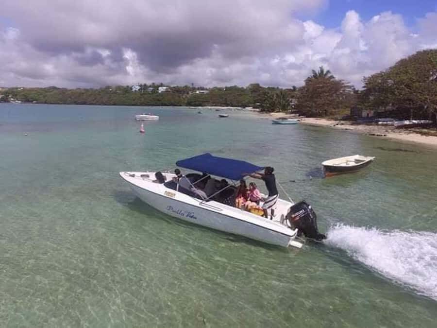 Ile aux Cerfs Speedboat Trip & Transport: Private or Shared - The Speedboat Ride: Scenic Views With a Wildlife Bonus