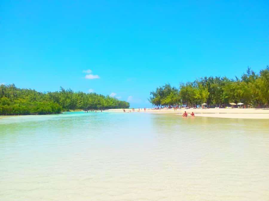 Ile aux Cerfs Speedboat Trip & Transport: Private or Shared - Ile aux Cerfs: 3–4 Hours to Swim, Tan, Hike, and Explore