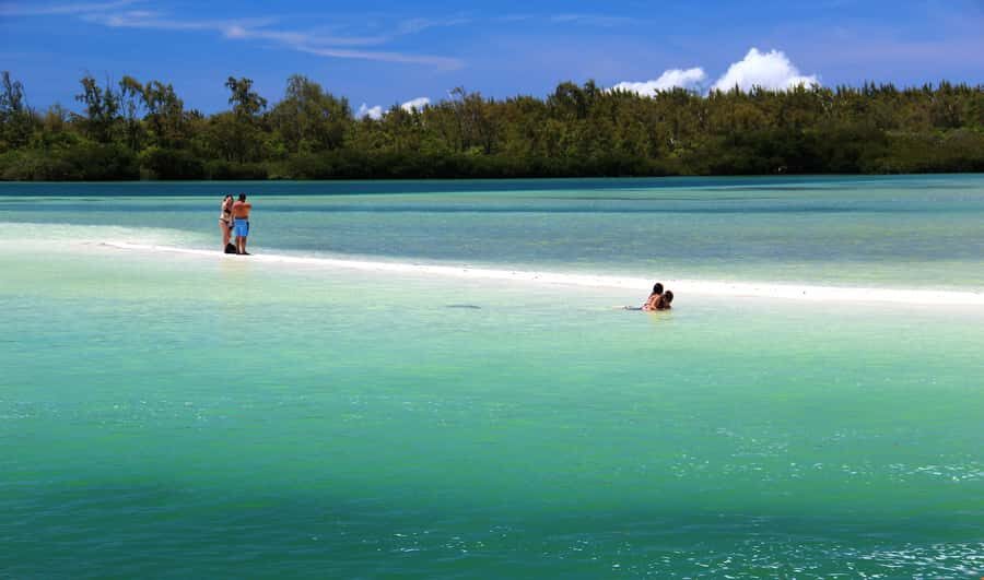 Ile aux Cerfs: The very best day by catamaran. - Grand River South East Waterfall: the photo stop with wildlife moments