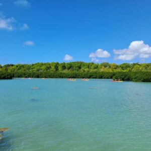 Ile d Ambre Kayaking - Goodlands meeting point: where it starts and how to show up smoothly