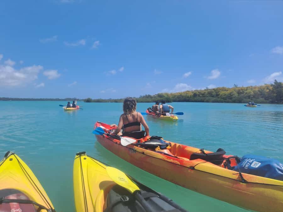 Ile d Ambre Kayaking - From safety briefing to mangrove entry: the pace you should expect