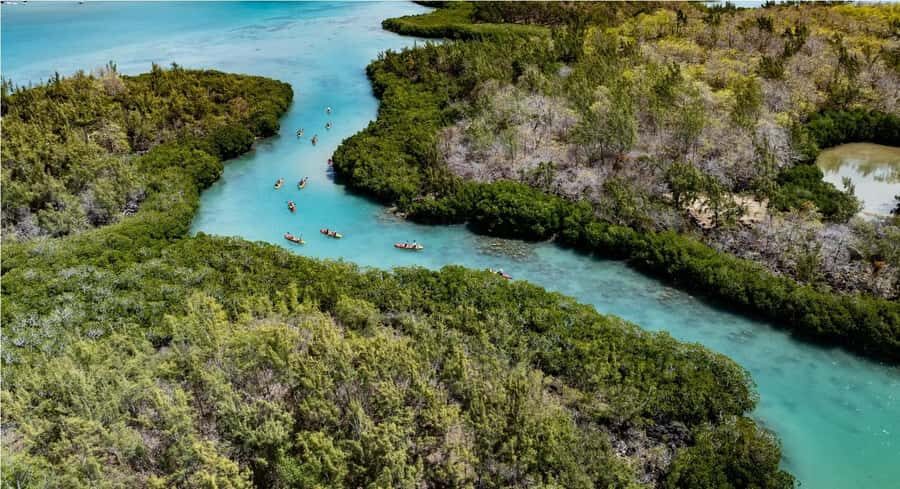 Ile d Ambre Kayaking - The mangrove maze: what you’ll learn while you paddle