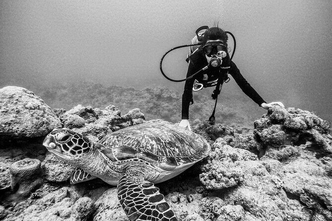 Join us for your first bubbles - Your Skills Session First: Pool or Shallow Water Practice