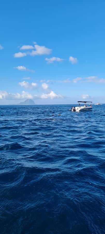 La Preneuse: Dolphin Swimming and Snorkeling Speedboat Trip - What to bring and how to prepare for a fast morning in the sun