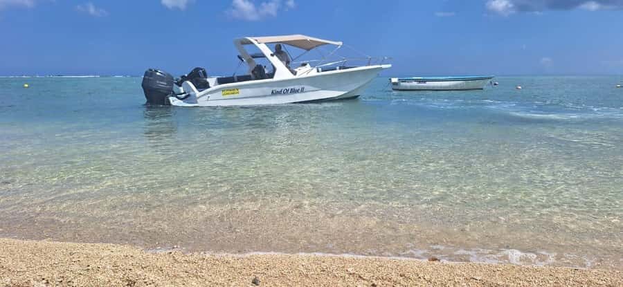 La Preneuse: Dolphin Watching and Snorkeling Speedboat Tour - The Mauritian coastline looks different from a speedboat
