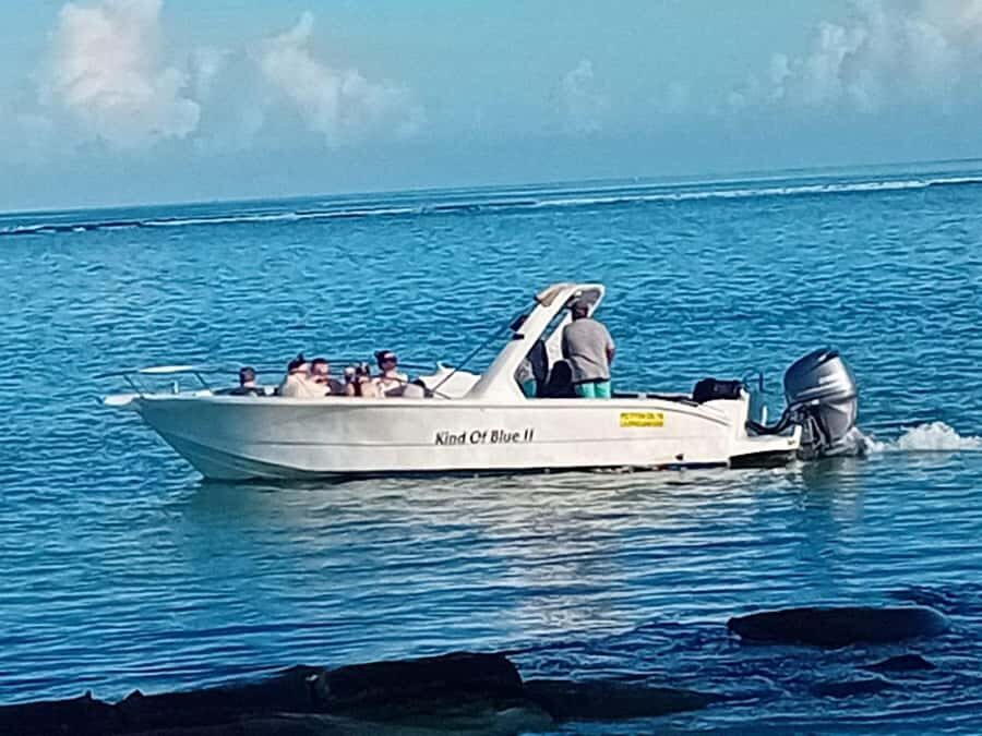 La Preneuse: Dolphin Watching and Snorkeling Speedboat Tour - Price and value: is $58 for two hours worth it?