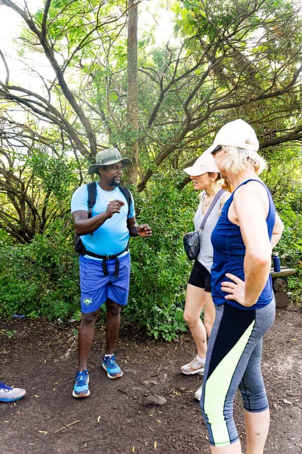 Le Morne Brabant: UNESCO Mountain Hike & Local Guides - The real work: climbing to summit views with authorized access